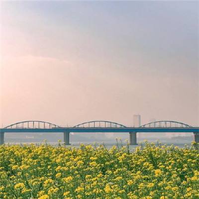 3“桥”见成都|锦江之上烟火之中哪些桥值得“瞧一瞧”