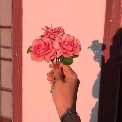 《玫瑰的故事》编剧李潇：刘亦菲跟黄亦玫水乳交融